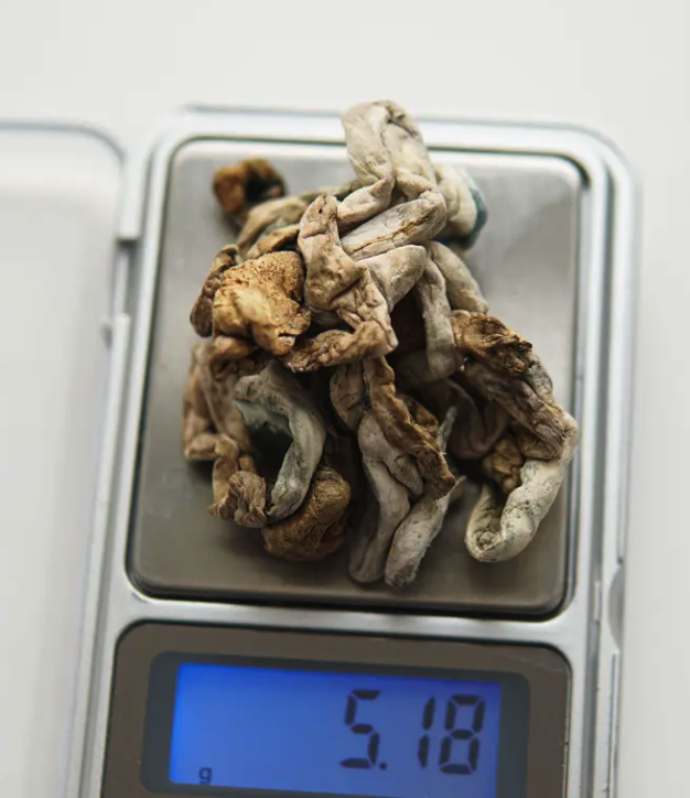 Shrooms