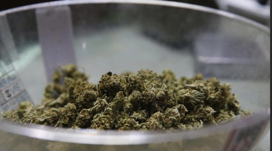 Weed